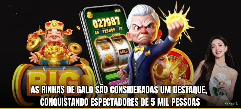 Termos e Condições